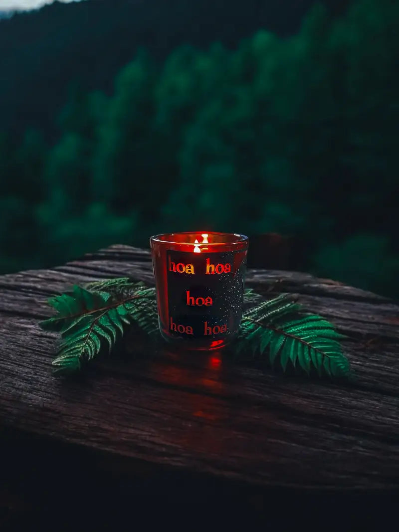 Forks Washington Atmosphere Box