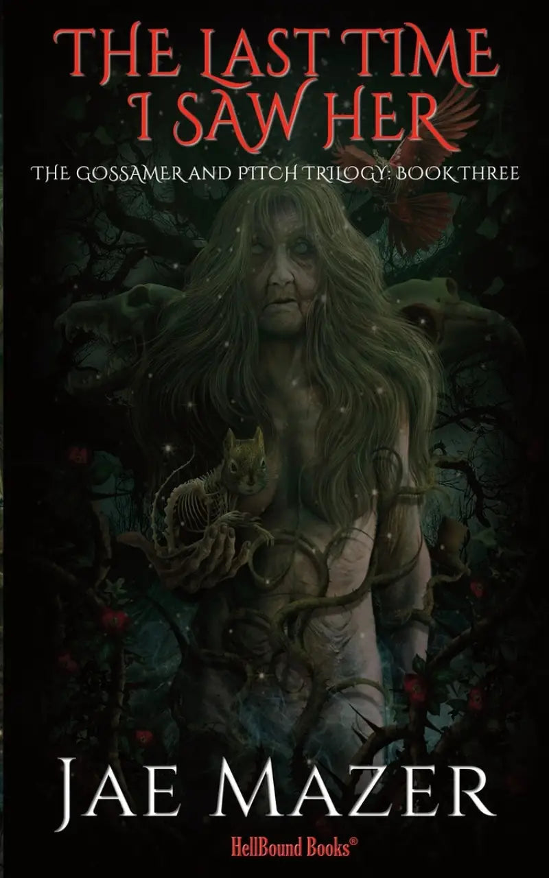 The Last Time I Saw Her by Jae Mazer {Signed}