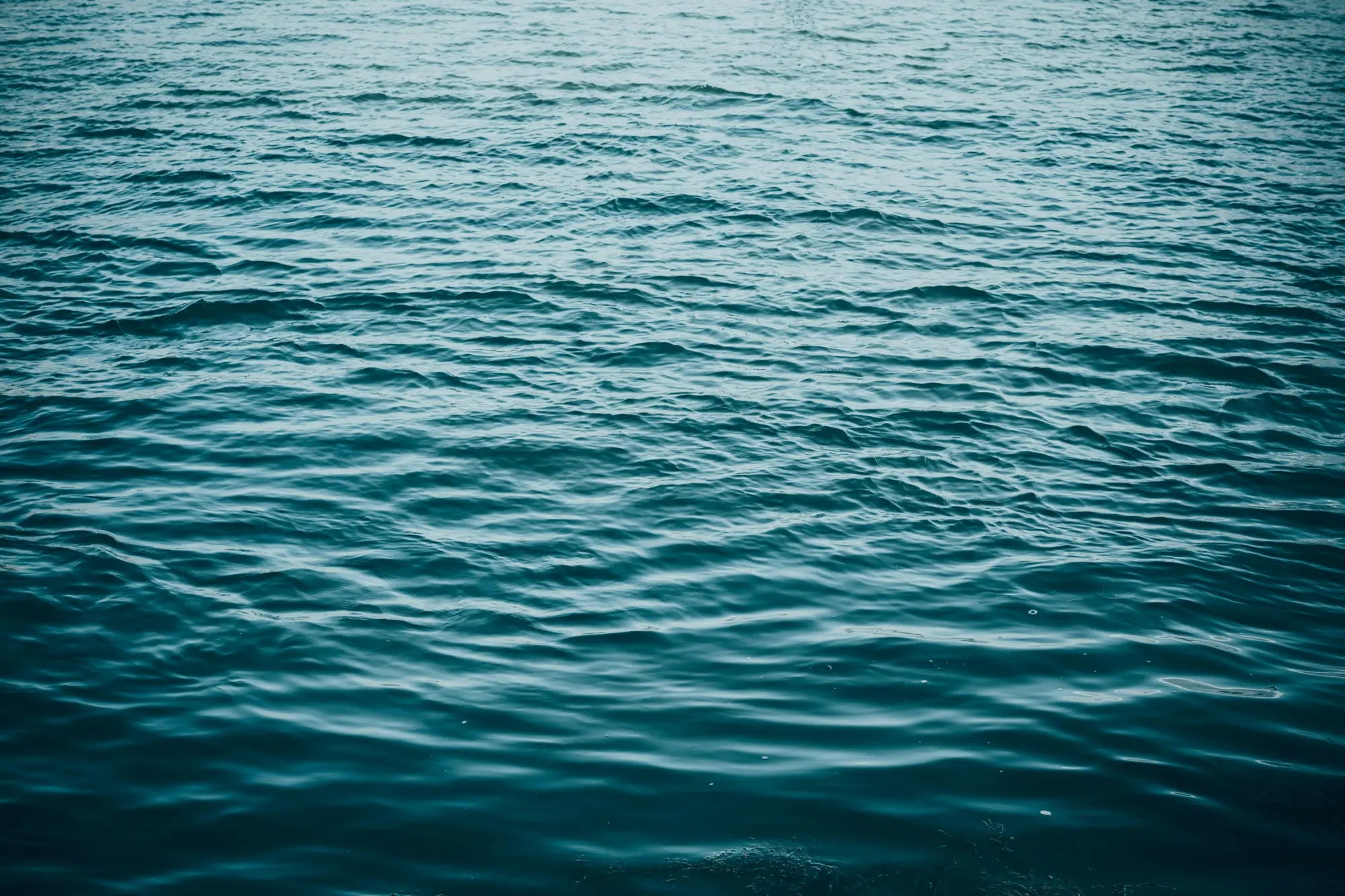 AQUATIC