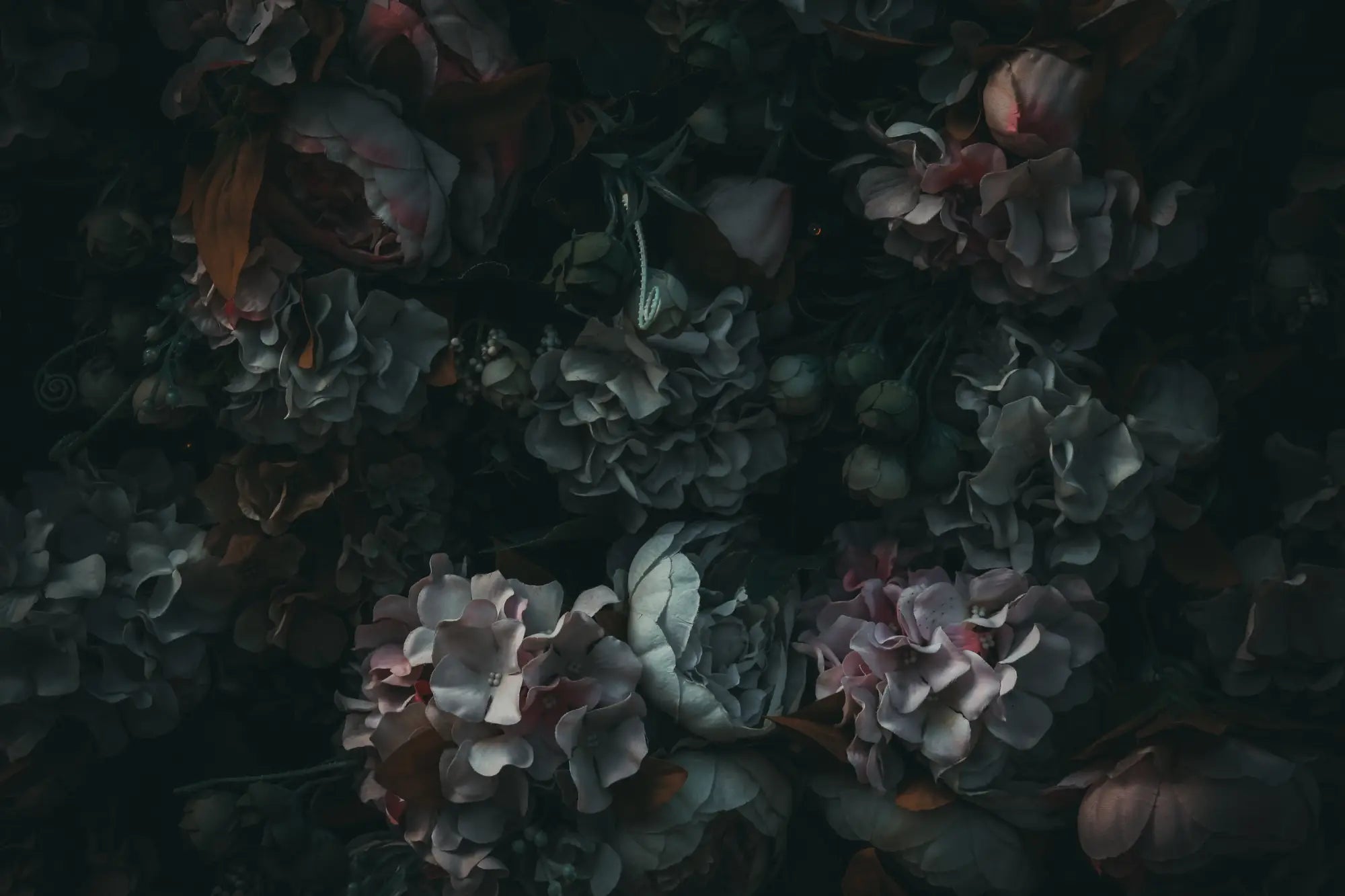 FLORAL & HERBS
