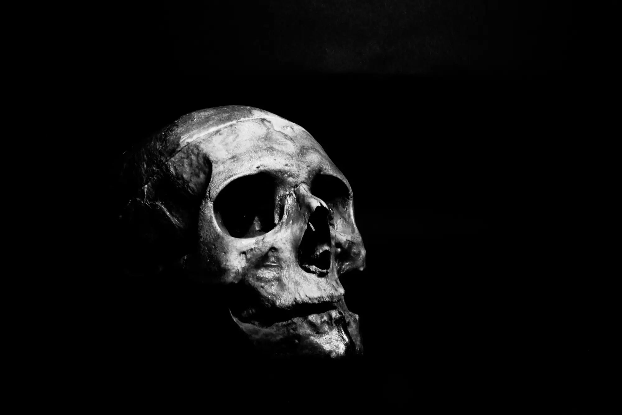 SKULL & NOVELTY CANDLES