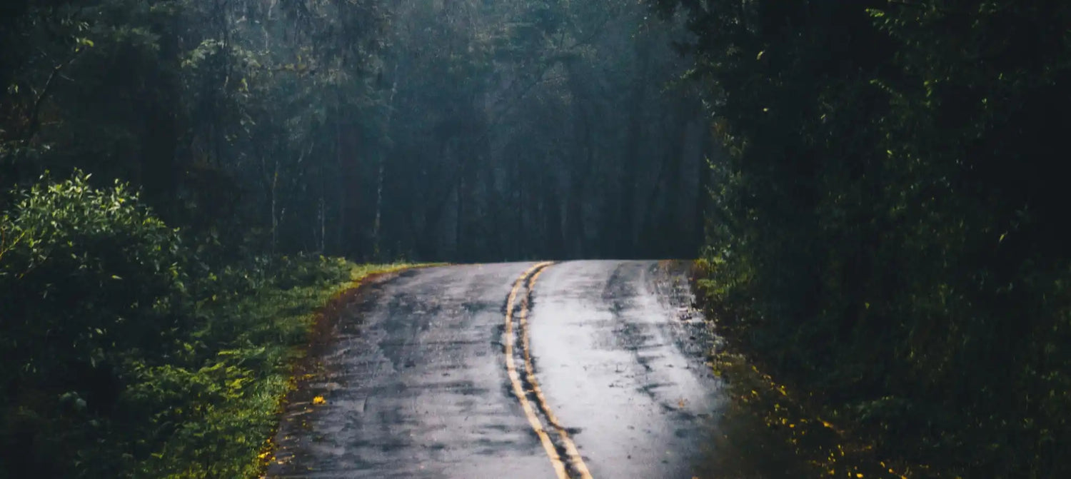 A winding, wet asphalt road with a double yellow line.